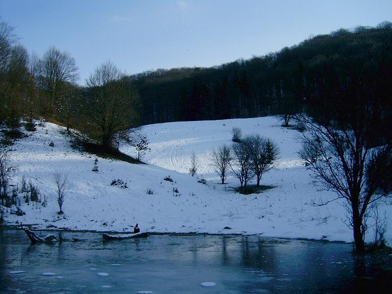 20110122 048.jpg